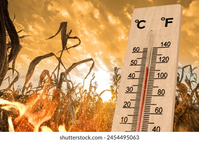 Ola de calor: Se pronostican temperaturas extremas este viernes