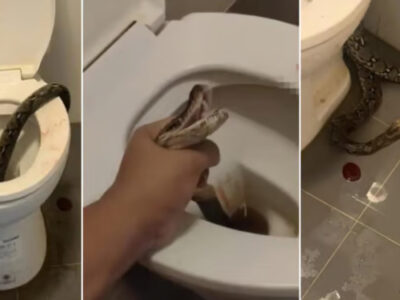 Ministra de Cultura y Viceministro a insta a Luinny Corporán a reflexionar por un tiempo en los medios de comunicación