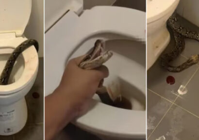 Ministra de Cultura y Viceministro a insta a Luinny Corporán a reflexionar por un tiempo en los medios de comunicación