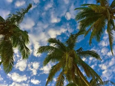 Onda tropical afectará República Dominicana con Lluvias y Temperaturas Altas