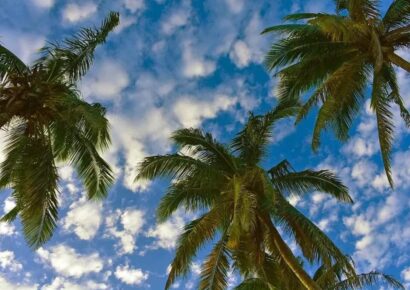 Onda tropical afectará República Dominicana con Lluvias y Temperaturas Altas