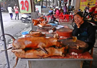 Corea del Sur destina 82 millones de dólares para transformar la industria de la carne de perro