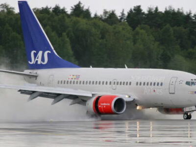 Vuelo de Scandinavian Airlines desvía su ruta tras hallazgo de un ratón en la comida