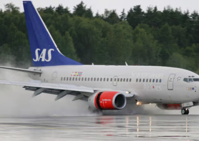 Vuelo de Scandinavian Airlines desvía su ruta tras hallazgo de un ratón en la comida