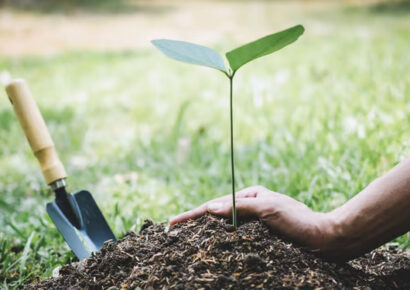 EGEHID y Reforma Renitenciaria impulsan reforestación con participación de privados de libertad