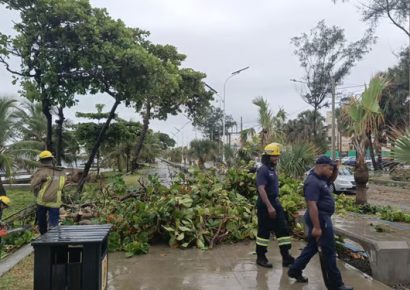 Retiran 40 árboles caídos en el DN tras fuertes lluvias