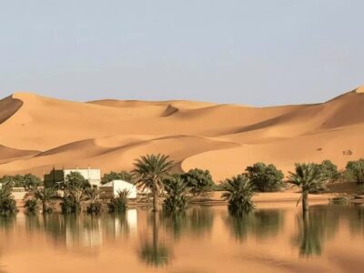 Lluvias inesperadas revitalizan el desierto del Sahara