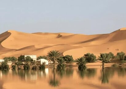 Lluvias inesperadas revitalizan el desierto del Sahara