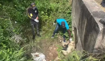 Confusión en Monte Plata: Restos en la carretera resultan ser carne de cerdo