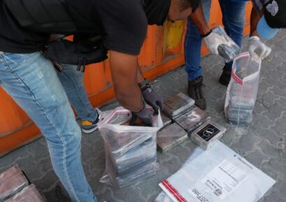 Desarticulan carga de 310 paquetes de cocaína en el Puerto Multimodal Caucedo