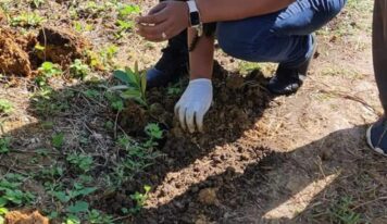 Estudiantes  ITSC participan en jornada de saneamiento y siembra en el Parque Ecológico San Isidro