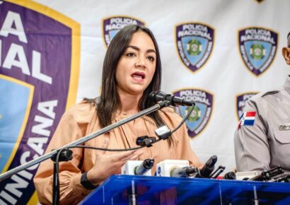 Faride Raful sobre ataque a avión en espacio aéreo haitiano: «Corresponde a Haití investigar»