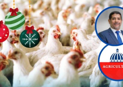 Ministro de Agricultura asegura suministro de 25 millones de libras de pollo para las fiestas navideñas