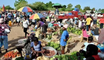 Aumento de las ventas en el mercado bilateral de Pedernales y Anse-à-Pitre por la crisis en Haití