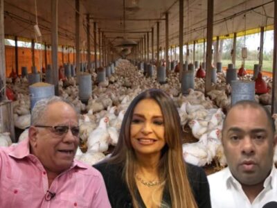 Denuncian supuesto complot para desaparecer a los pequeños y medianos productores de pollos en el país