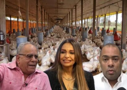 Denuncian supuesto complot para desaparecer a los pequeños y medianos productores de pollos en el país