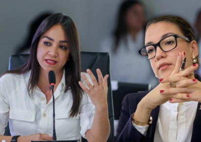 Faride Raful desmiente a Canciller haitiana sobre supuesta reducción de deportaciones