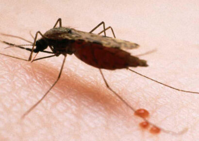 Ministerio de Salud Pública refuerza estrategias para tratar la malaria