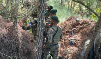 «Desmantelan 30 casuchas ocupadas por haitianos Constanza»