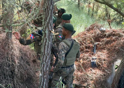 «Desmantelan 30 casuchas ocupadas por haitianos Constanza»