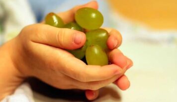 Las 12 uvas de Nochevieja: tradición, historia y beneficios de un ritual único