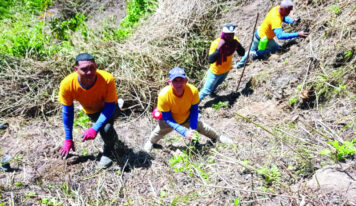 Internos en medio libre realizan reforestación en la cuenca alta del Río Nizao