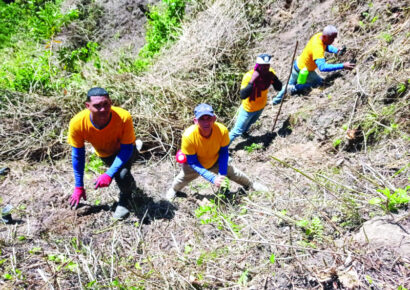 Internos en medio libre realizan reforestación en la cuenca alta del Río Nizao