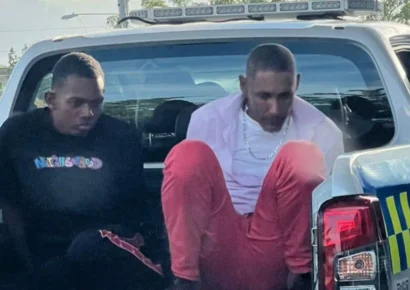 Arrestan a dos hombres vinculados al robo de ganado en Monte Plata