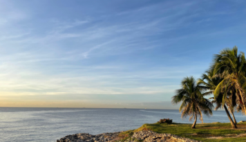 Clima favorable y temperaturas agradables para cerrar el año, según Indomet