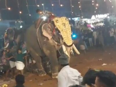 Al menos 23 heridos tras embestida de un elefante durante un festival en el sur de la India