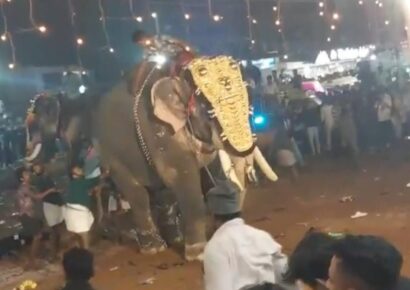 Al menos 23 heridos tras embestida de un elefante durante un festival en el sur de la India