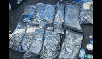 Decomisan 12 paquetes de Marihuana ocultos en tanque de alimentos en Puerto de Haina Oriental