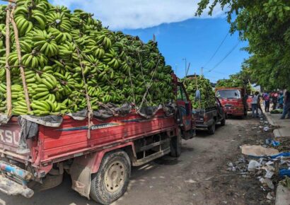 El Ejército arresta a tres dominicanos involucrados en el traslado ilegal de haitianos
