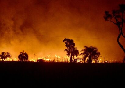 Extinguido incendio en San Pedro de Macorís tras afectar 10 kilómetros