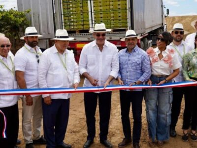 El Gobierno celebra el logro de 3,270 millones de dólares en exportaciones de uvas de mesa dominicanas en 2024