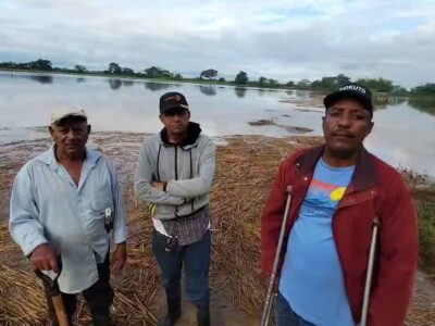Productores de arroz en Dajabón pierden cosechas por desbordamiento del río Masacre