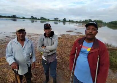 Productores de arroz en Dajabón pierden cosechas por desbordamiento del río Masacre