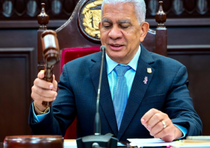 El presidente del Senado aguardará decisión de Diputados sobre candidaturas independientes