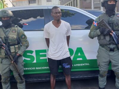 Senpa en conjunto con Medio Ambiente arresta a haitiano por matar tiburón protegido en Guayacanes