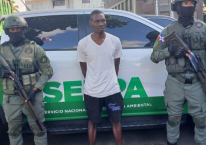 Senpa en conjunto con Medio Ambiente arresta a haitiano por matar tiburón protegido en Guayacanes