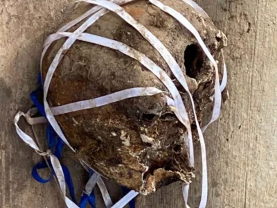 Autoridades investigan hallazgo de cráneo humano próximo al santuario de Bayaguana