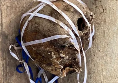 Autoridades investigan hallazgo de cráneo humano próximo al santuario de Bayaguana