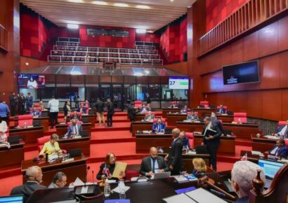 Senado aprueba venta de terreno en Cotuí a Inmobiliaria Reservas S.A.