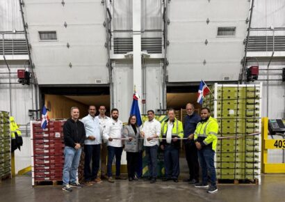 Llegan a EE.UU. los primeros contenedores de uvas producidas en RD