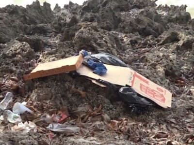 Hallan cuerpo en descomposición de menor de unos cinco años en el Malecón de Santo Domingo