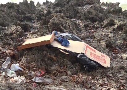 Hallan cuerpo en descomposición de menor de unos cinco años en el Malecón de Santo Domingo