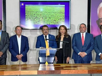 El PLD propone medidas para rescatar el banano dominicano del colapso