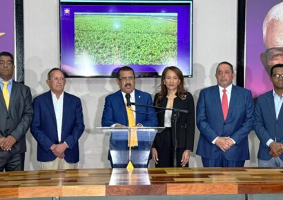 El PLD propone medidas para rescatar el banano dominicano del colapso