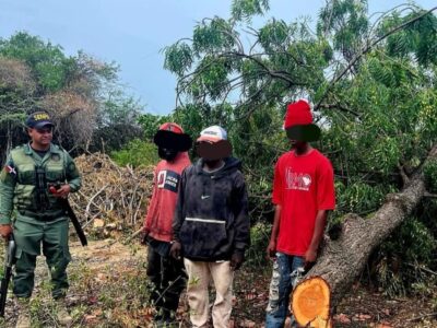 SENPA y Medio Ambiente refuerzan operativos contra delitos ecológicos en varias provincias del país