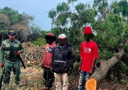 SENPA y Medio Ambiente refuerzan operativos contra delitos ecológicos en varias provincias del país